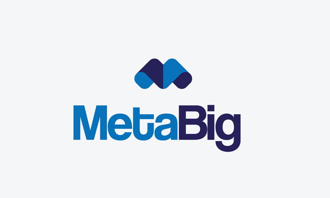 MetaBig.io